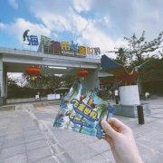 海南热带飞禽世界——藏在大美贤德县之海南定安县的国内最大鸟文化乐园